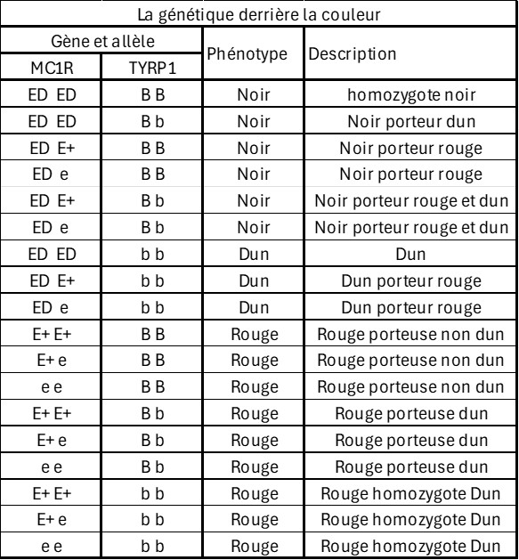 genetique couleur 1