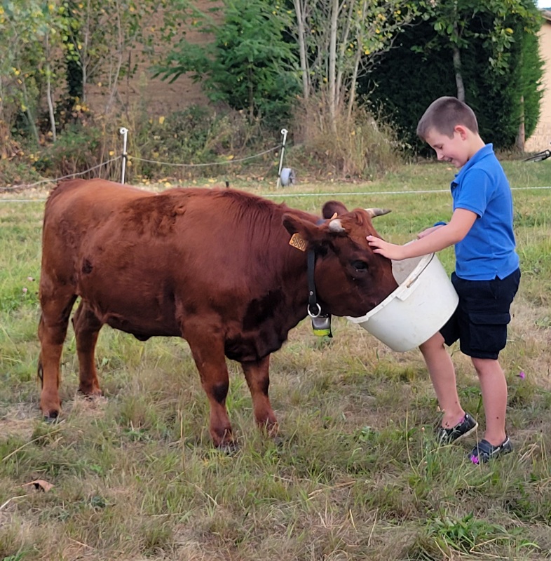 patte courte CH